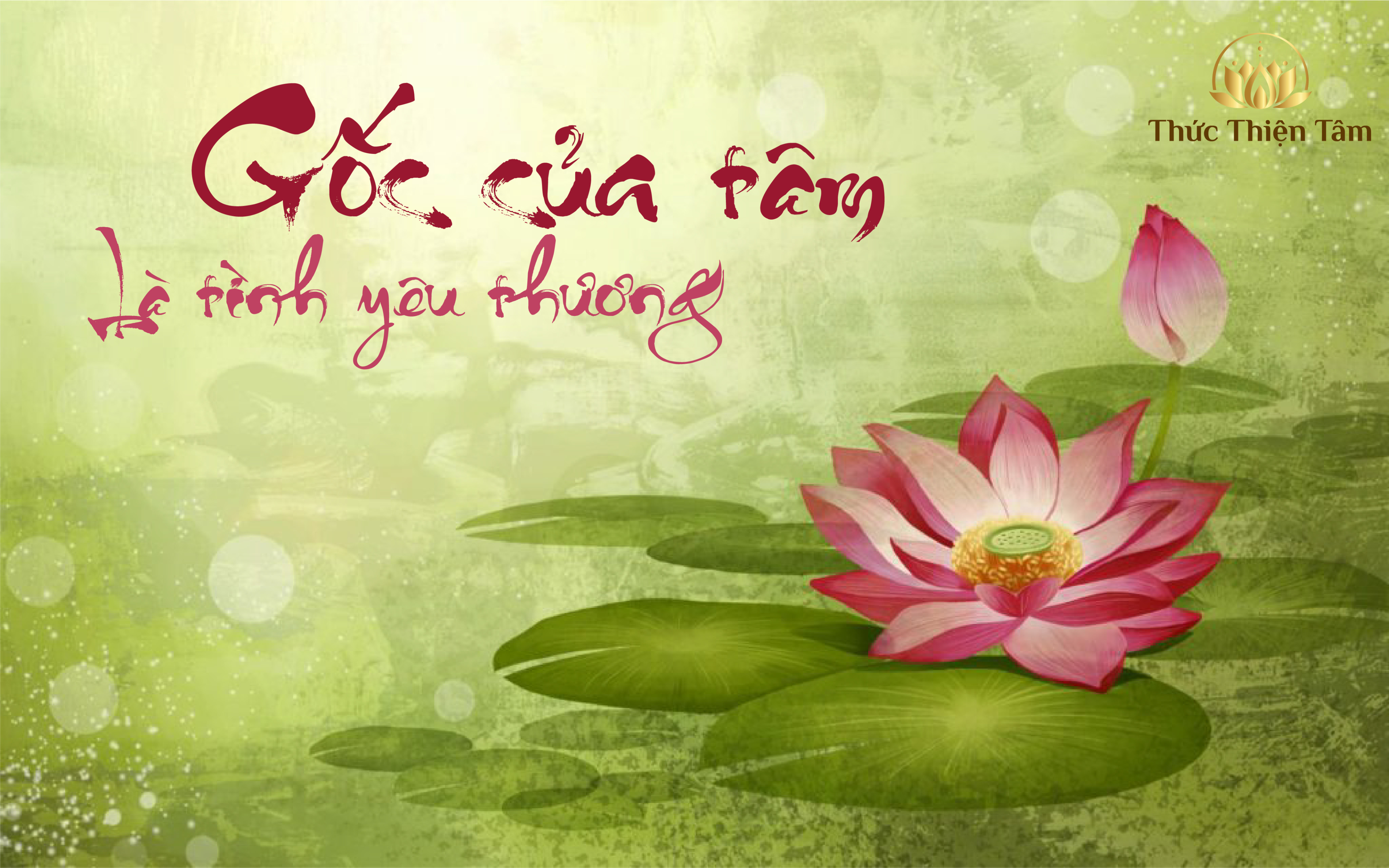 “GỐC CỦA TÂM LÀ TÌNH YÊU THƯƠNG”