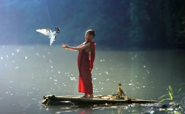 PHÓNG SINH NHƯ NÀO CHO ĐÚNG