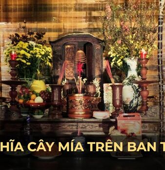 Ý nghĩa đôi cây mía trên ban thờ ngày Tết | Nhà văn hóa tâm linh Phan Oanh