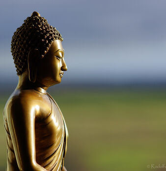 “CÓ ĐẠO ĐỂ GIEO TRỒNG CÂY ĐỨC”