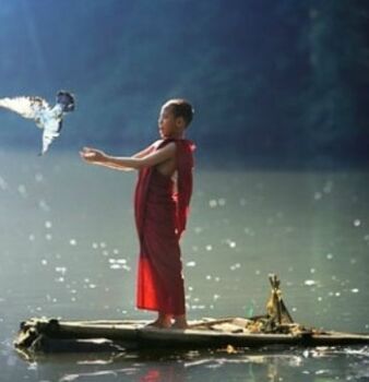 PHÓNG SINH NHƯ NÀO CHO ĐÚNG