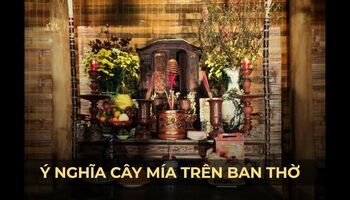 Ý nghĩa đôi cây mía trên ban thờ ngày Tết | Nhà văn hóa tâm linh Phan Oanh